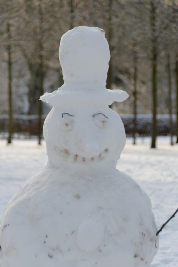 Portrait Schneemann im Schlossgarten im Winter